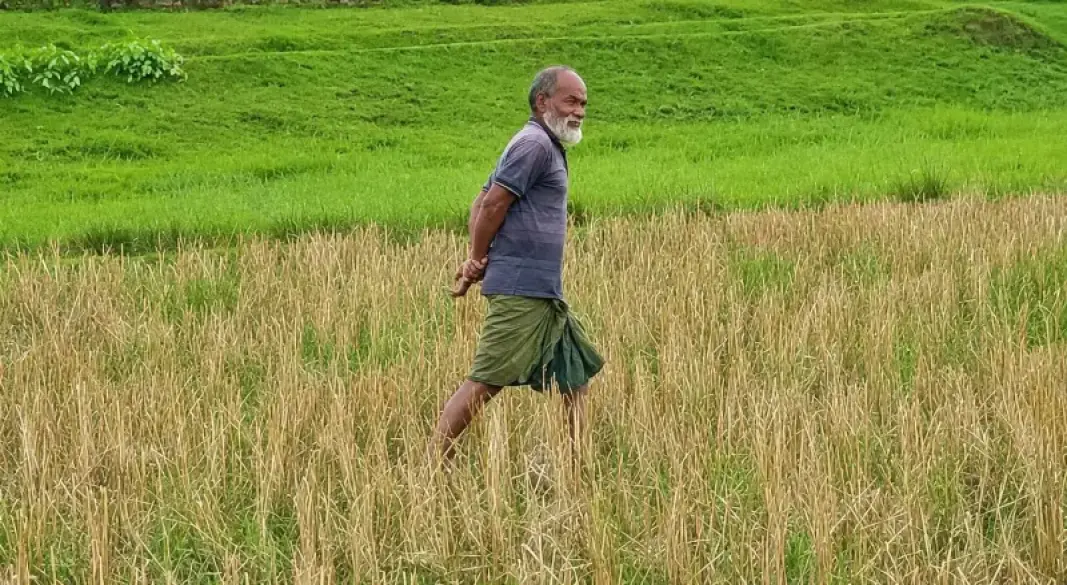 জামালপুর সীমান্তের শূন্যরেখা এলাকায় কয়েকদিন ধরে অবস্থান করছেন এক ষাটোর্ধ্ব ব্যক্তি। ছবি: সংগৃহীত