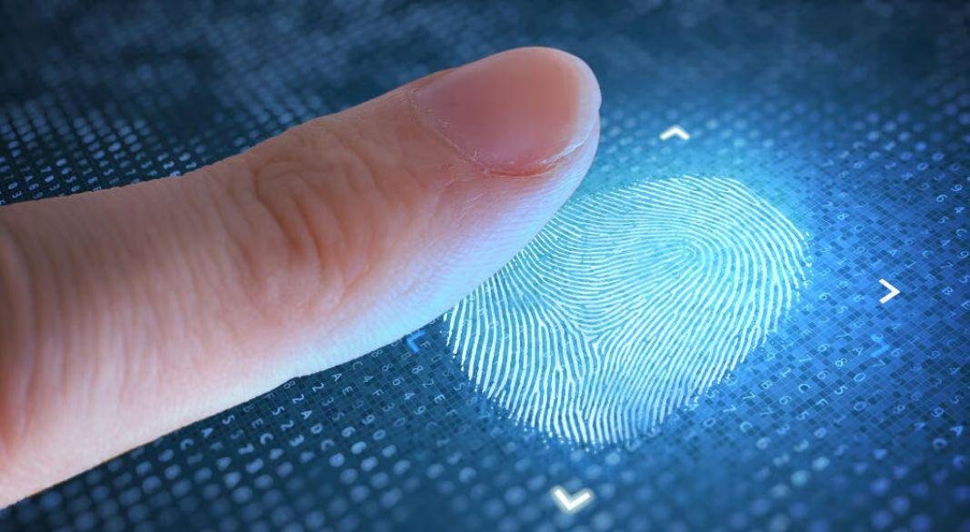 ছবি: সংগৃহীত।