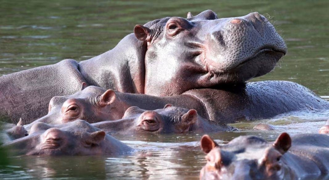 ছবি: সংগৃহীত।