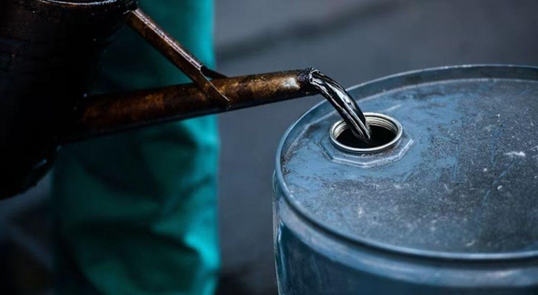 ছবি: সংগৃহীত।