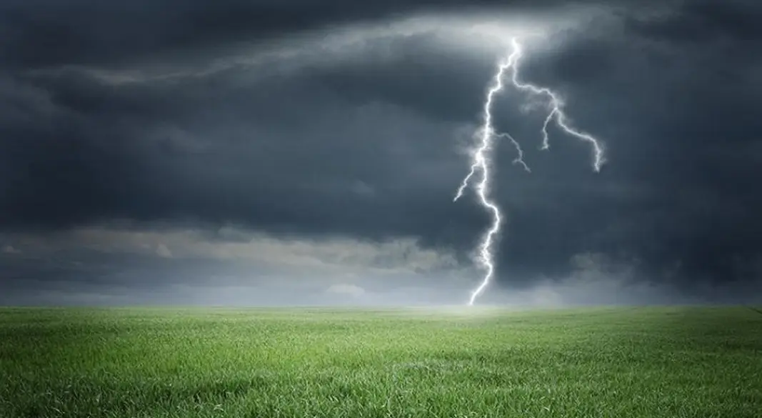 ছবি: ফাইল ফটো