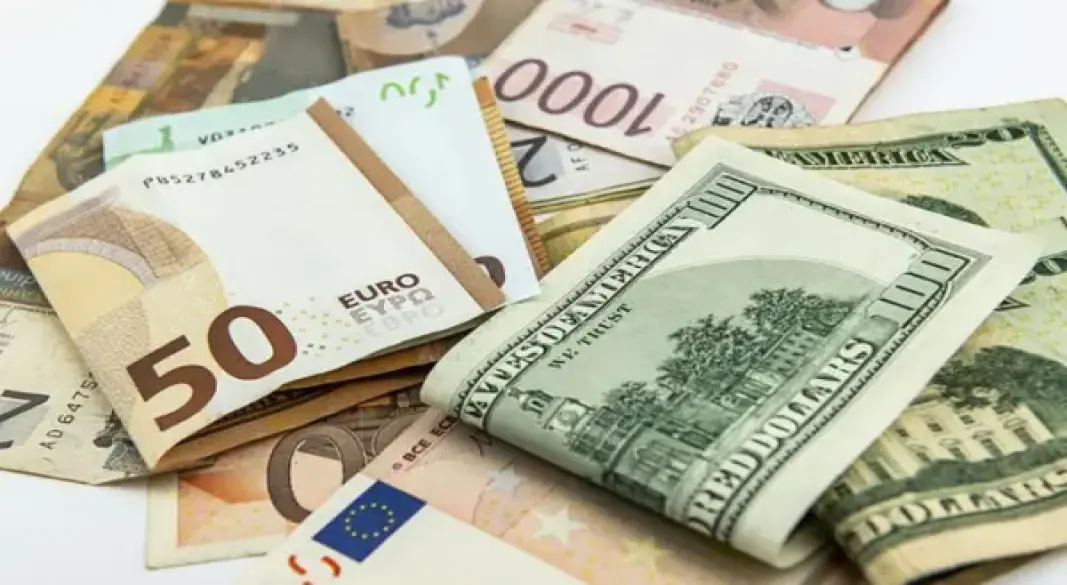 ফাইল ছবি