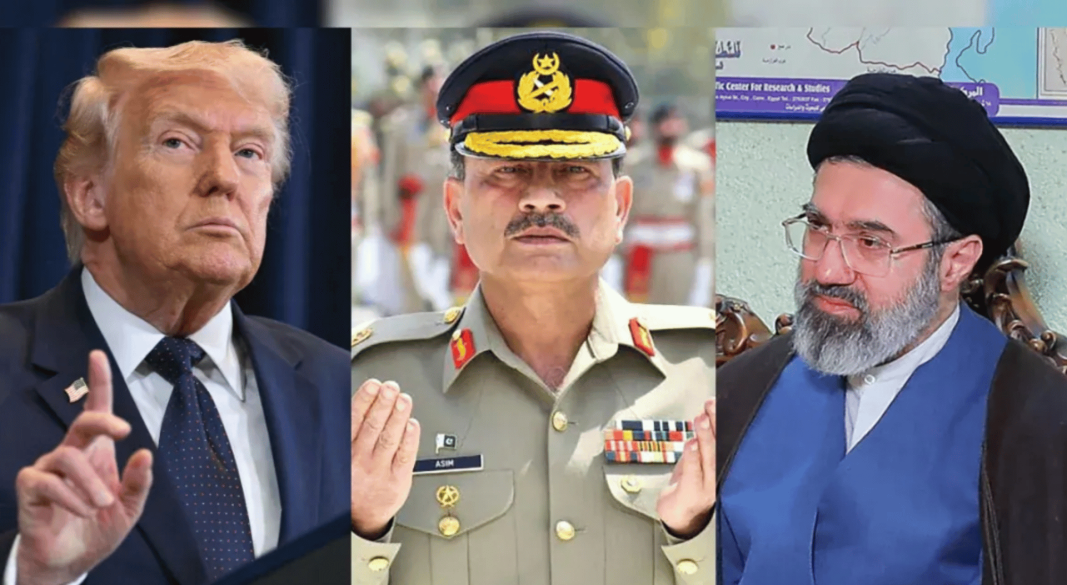 ছবি: সংগৃহীত।