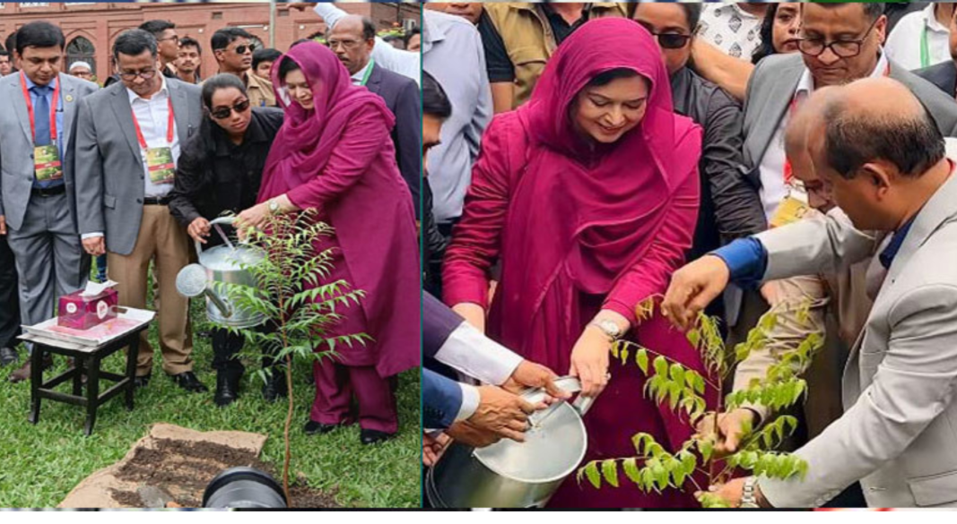 বৃক্ষরোপণে ‘সবুজ বিপ্লব’ গড়ে তোলার আহ্বান ডা. জুবাইদা রহমানের