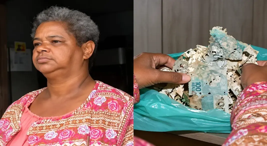 ব্রাজিলের ৫৩ বছর বয়সী সুয়েলি প্রায় নয় বছর ধরে নিজের সঞ্চয়ের টাকা একটি বইয়ের ভেতর লুকিয়ে রেখেছিলেন। ছবি: সংগৃহীত