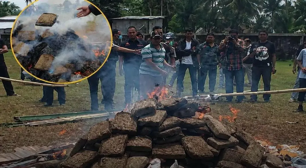 ইন্দোনেশিয়ার পশ্চিম জাকার্তার পালমেরাহ এলাকায় জব্দ করা ৩ দশমিক ৩ টন গাঁজা প্রকাশ্যে পুড়িয়ে ধ্বংস করছে পুলিশ। ছবি: সংগৃহীত