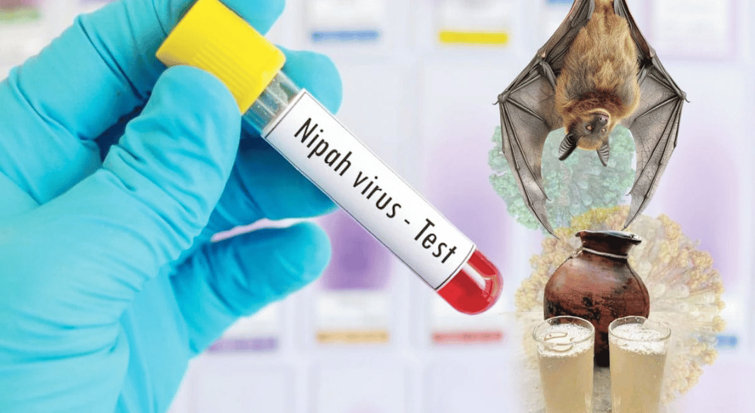 নওগাঁয় নিপাহ ভাইরাসে আক্রান্ত হয়ে এক নারীর মৃত্যু