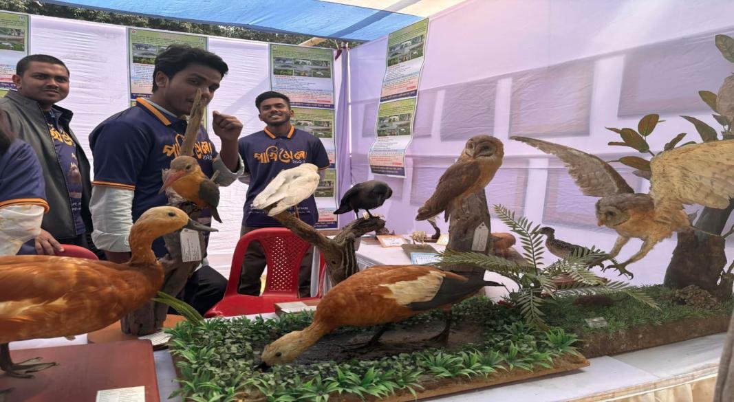 মৃত পাখির ‘মমি’ তবুও যেন জীবিত