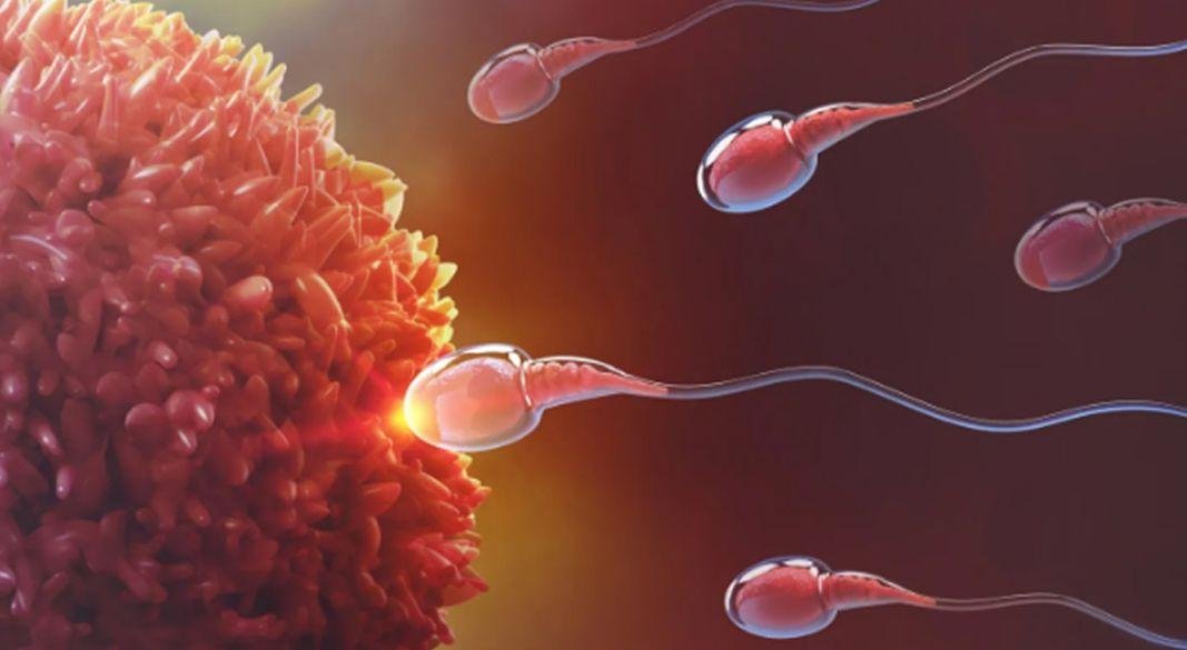 ছবি: সংগৃহীত।