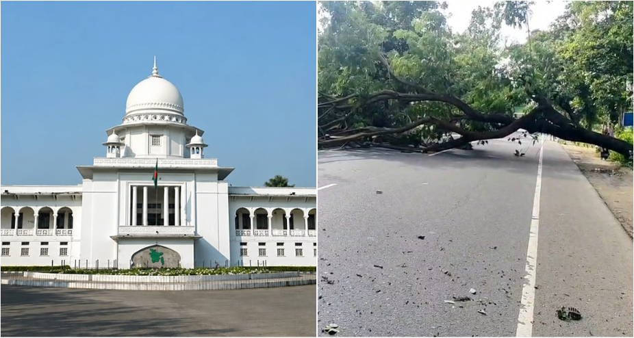 ছবি: কোলাজ । আমেরিকা বাংলা
